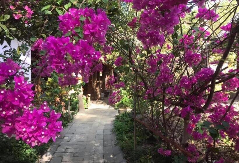 هتل Vita Garden Homestay