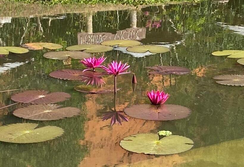 هتل Vita Garden Homestay