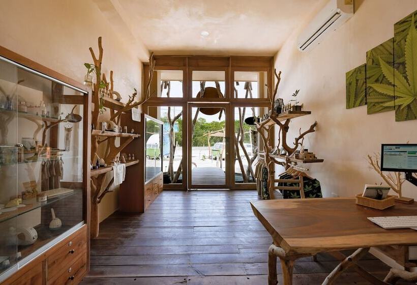 Cervecería Tulum Boutique Hotel & Beer Spa All Inclusive