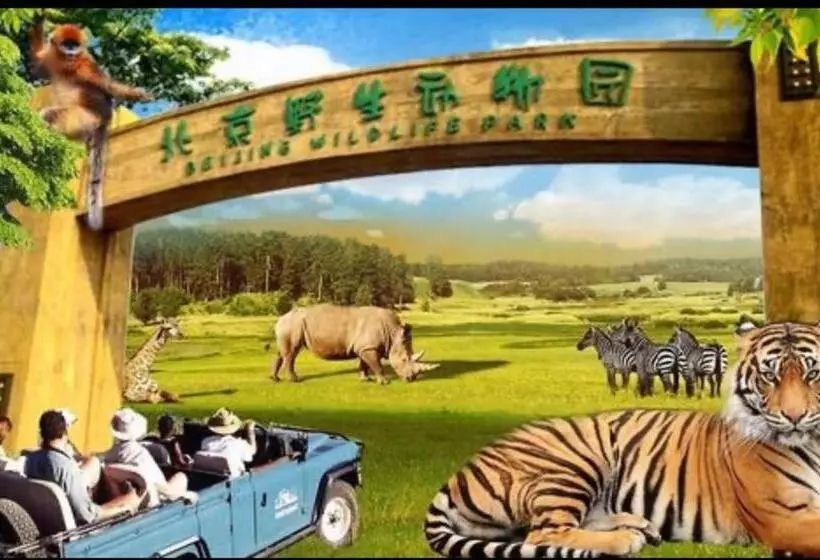 A Memory Hotel Hotel In The Garden, Beijing Daxing International Airport, Beijing Aerospace Museum