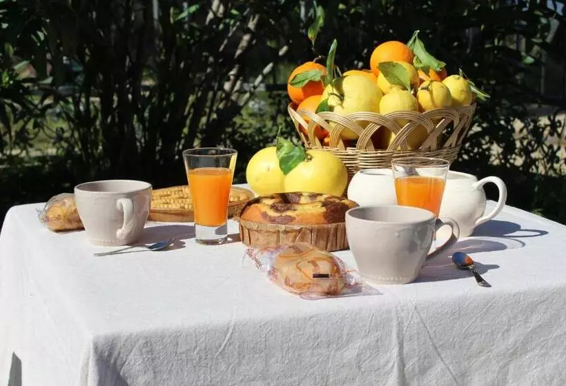 ベッドアンドブレックファースト Domu Virginia