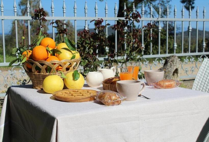 Bed and Breakfast Domu Virginia