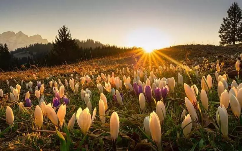 Gasthof & Hotel Zur Post
