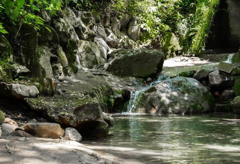 Ashigarashimo Gun   Hotel   Vacation Stay 53655v