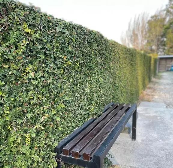 هتل Boutique Los Pinos