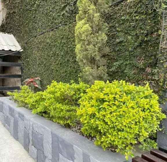 هتل Boutique Los Pinos