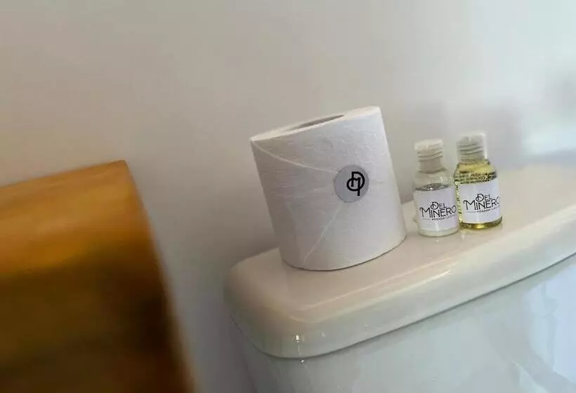 ホテル La Posada Del Minero