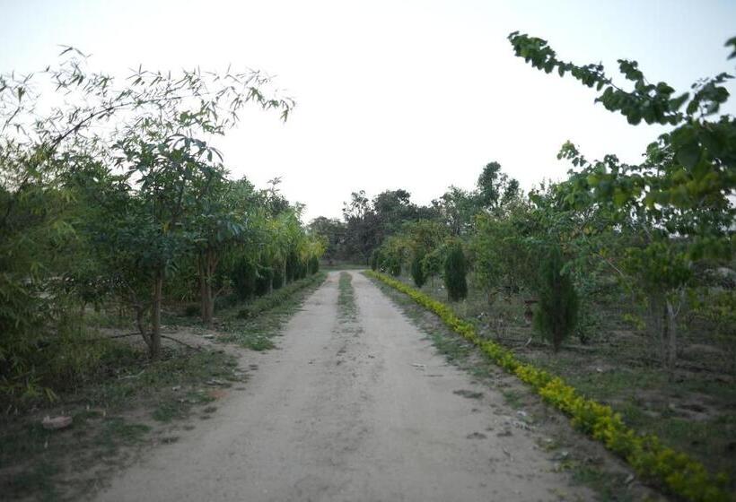 The Palash Vann Resort Madhya Pradesh