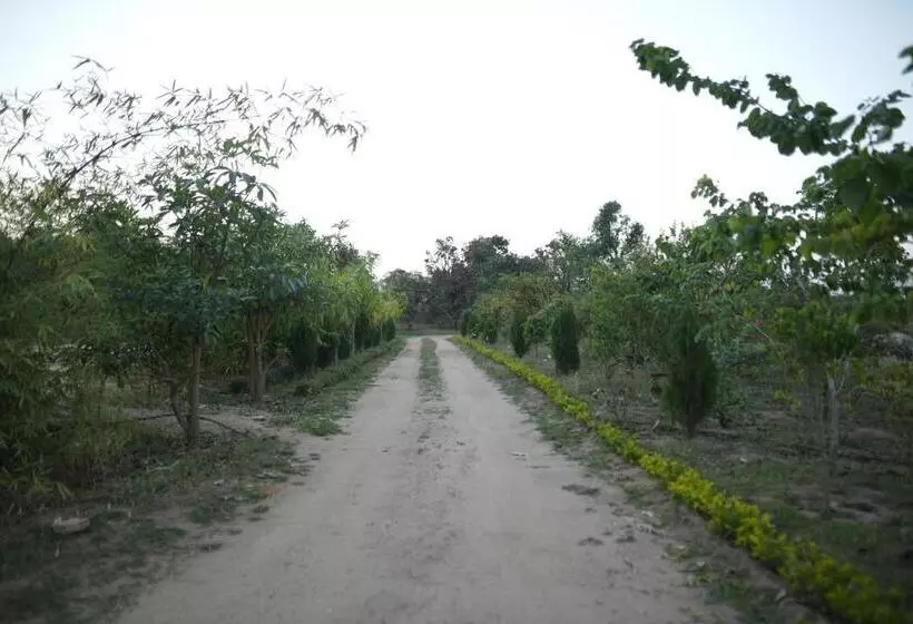 The Palash Vann Resort Madhya Pradesh