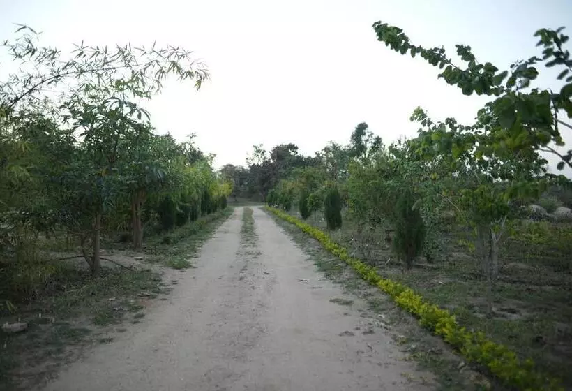 The Palash Vann Resort Madhya Pradesh