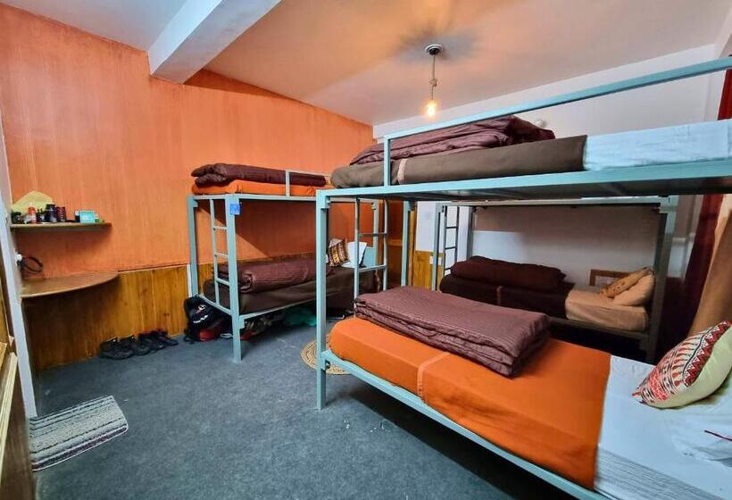 הוסטל The Bunker Burwa Manali