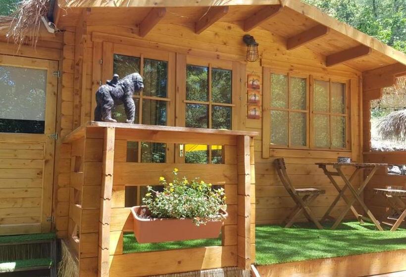 Bed and Breakfast La Lyalis