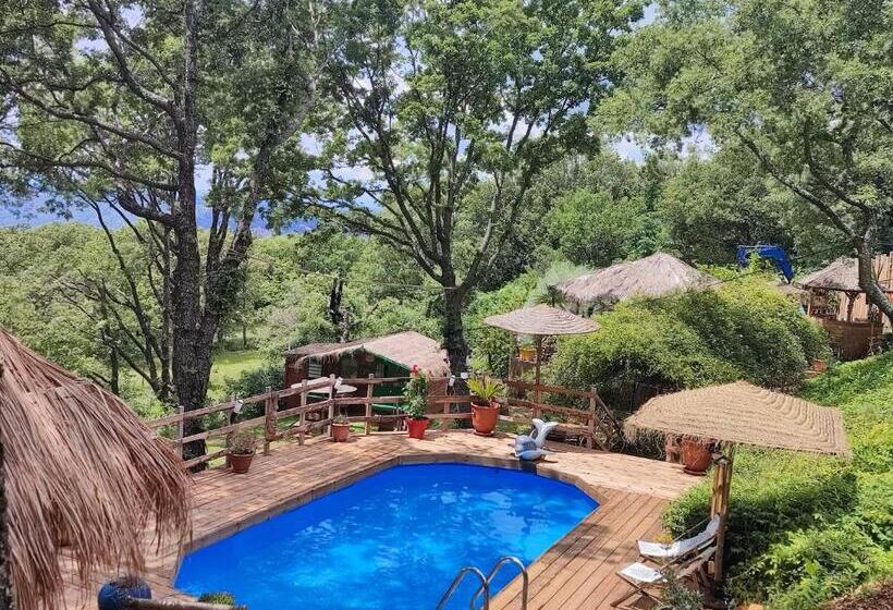 Bed and Breakfast La Lyalis