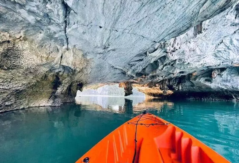 هتل Bee Lucky Homestay Cat Ba Island