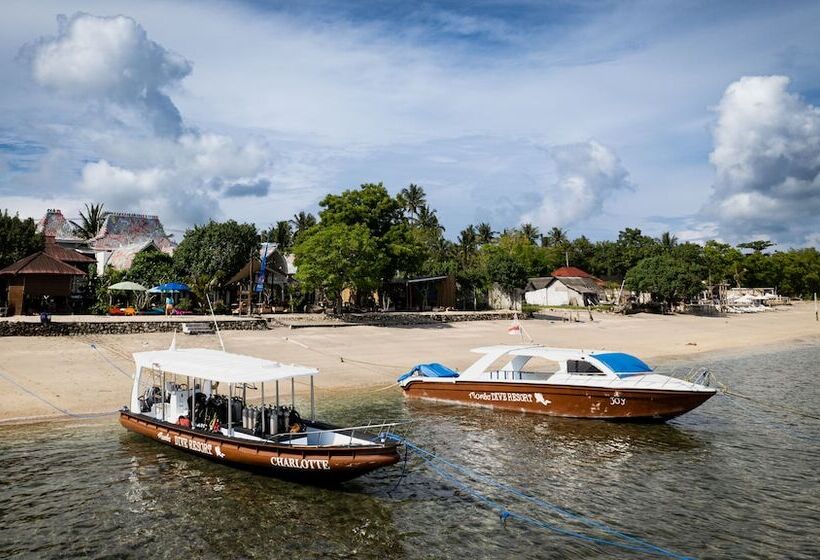 酒店 Mambo Beach Resort