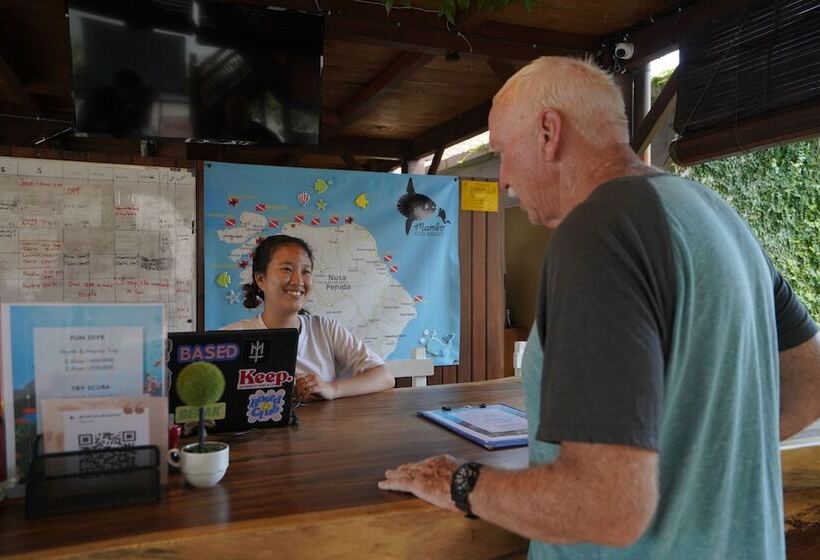 酒店 Mambo Beach Resort