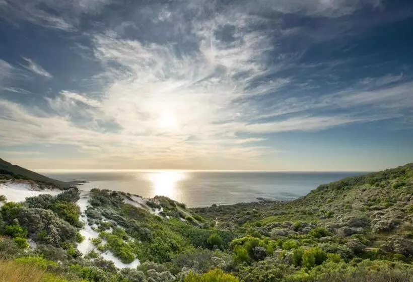 Majatalo Vyn Guest House Hout Bay