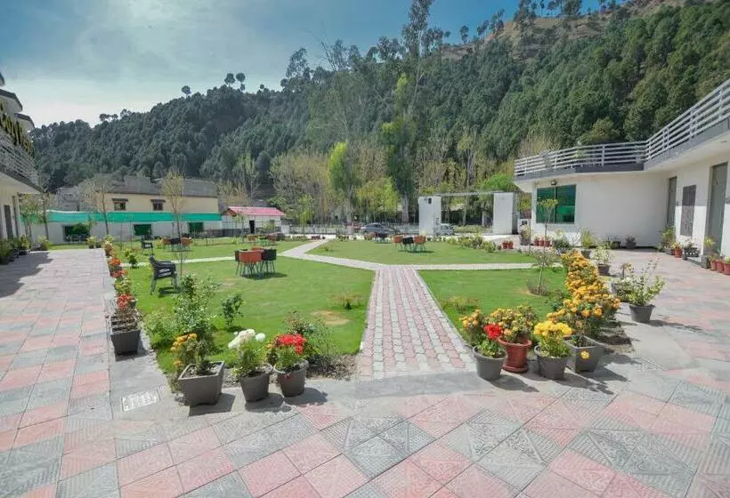 هتل D Cozy Resorts