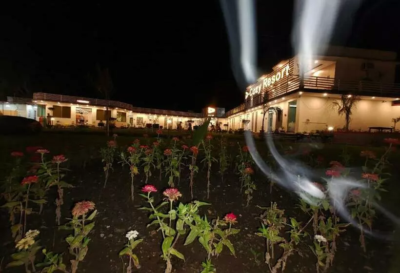 هتل D Cozy Resorts