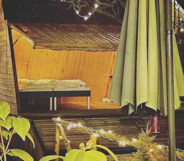 Hotelli O The Hostel Glamping Pods By Workalyas