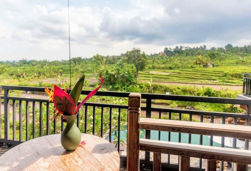 膳宿费 Alamgangga Villas Tirta Gangga