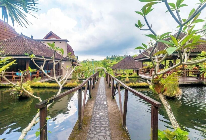 膳宿费 Alamgangga Villas Tirta Gangga