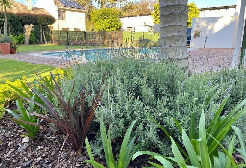 펜션 Whistlewood Guesthouse Walmer, Port Eizabeth