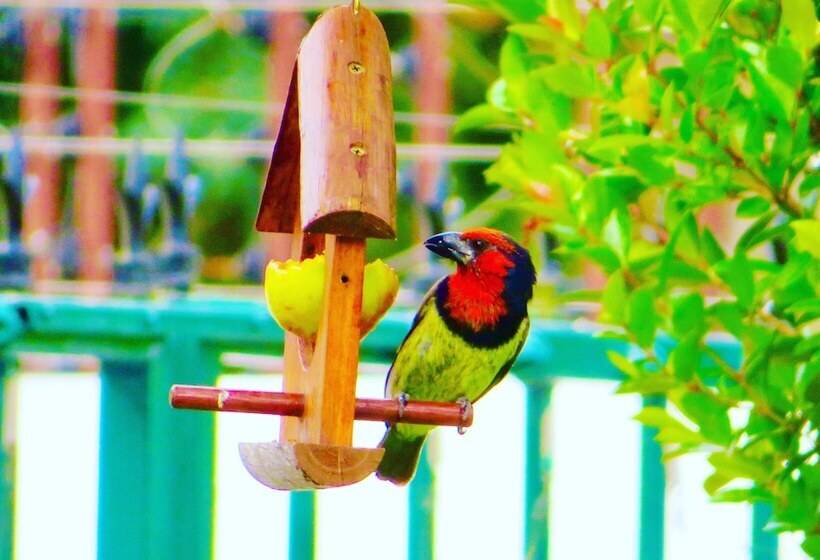 펜션 Whistlewood Guesthouse Walmer, Port Eizabeth