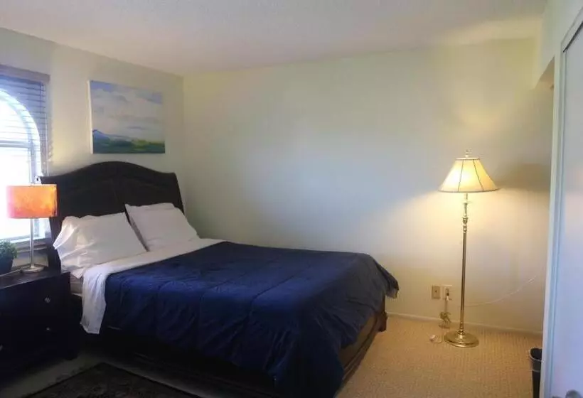 Bed And Breakfast In Hollywood Hills