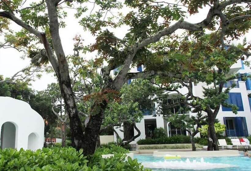 Chelona Khaotao Hua Hin E702