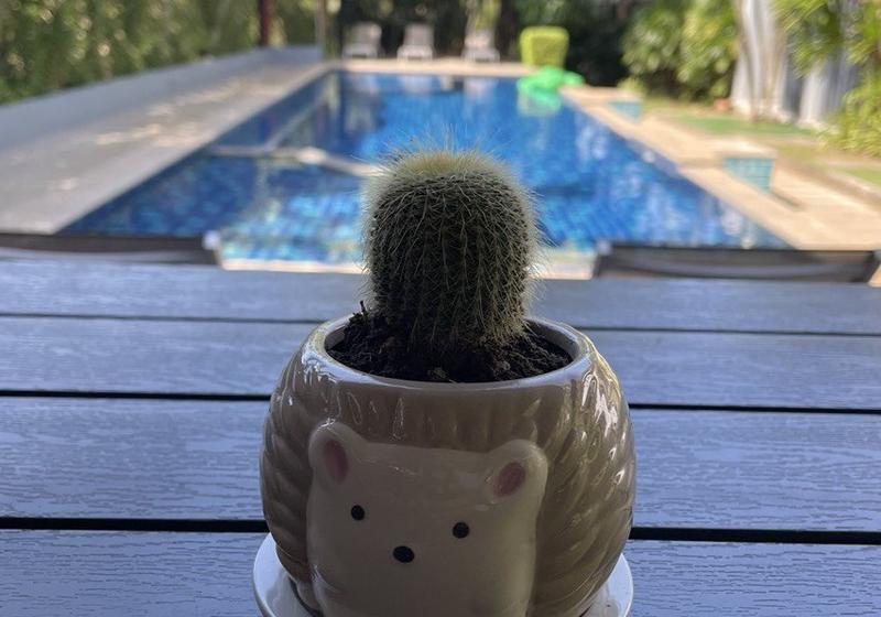 فندق The Fong Krabi Resort