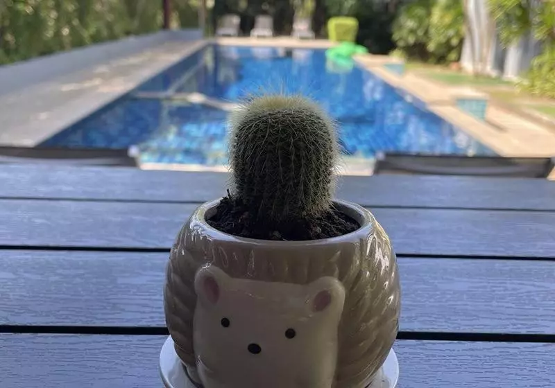 호텔 The Fong Krabi Resort