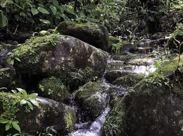 Aamiaismajoitus (B&B) Arte De Plumas Birding Lodge