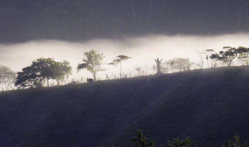 Bed and Breakfast Arte De Plumas Birding Lodge