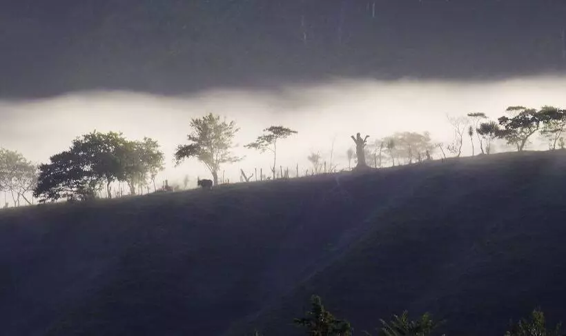 Aamiaismajoitus (B&B) Arte De Plumas Birding Lodge