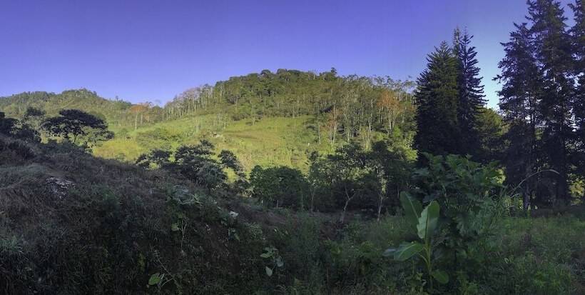 Bed and Breakfast Arte De Plumas Birding Lodge