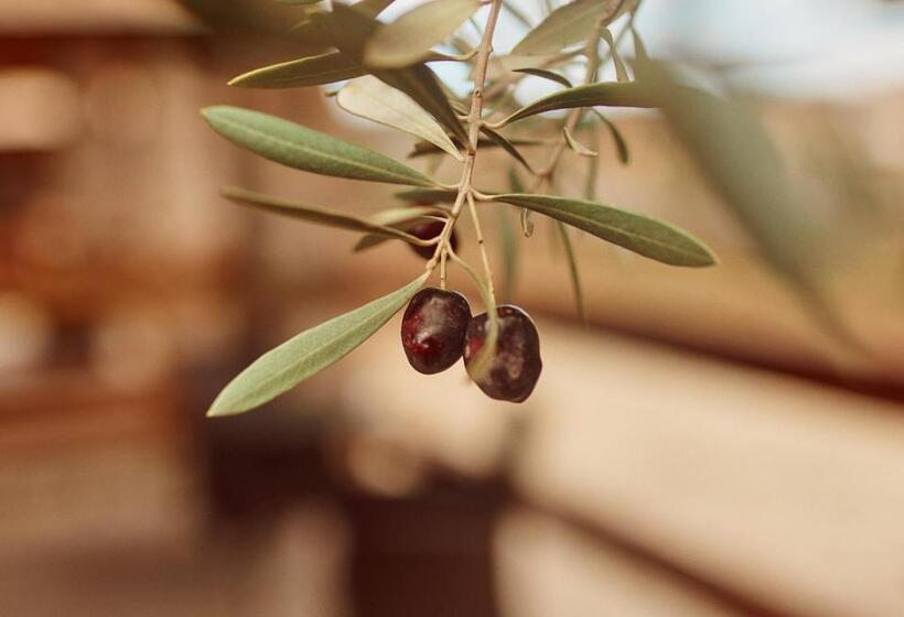 Отель Villa Quinta Estrella