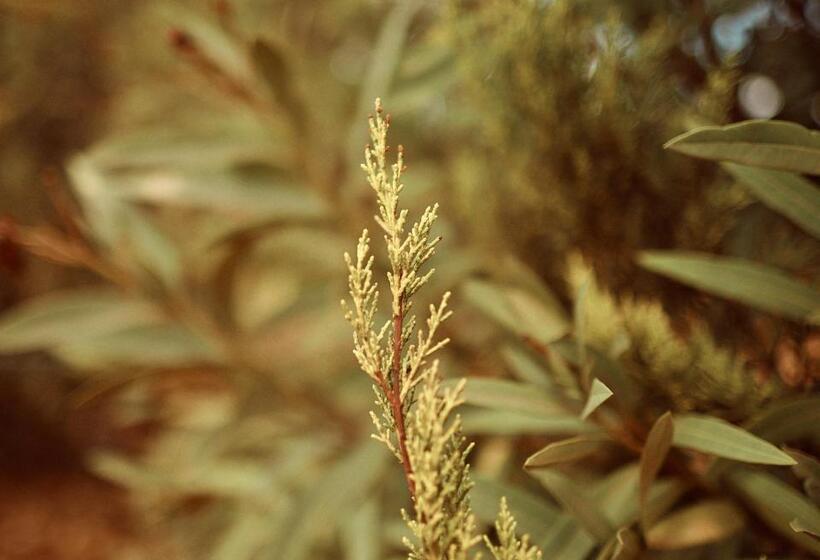 Отель Villa Quinta Estrella