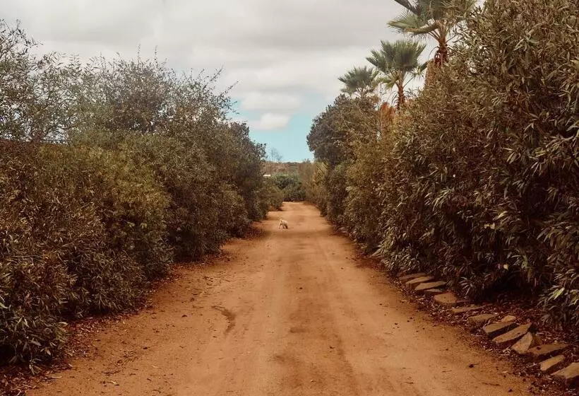 ホテル Villa Quinta Estrella