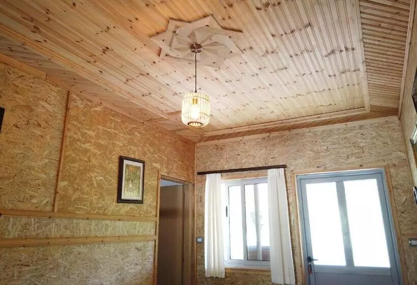 ペンション Bujtina Vjosa