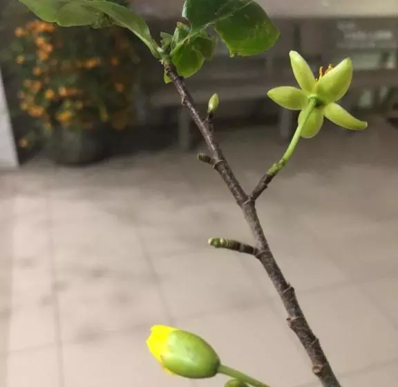 Anhkhoa Hotel Mỹ Phước