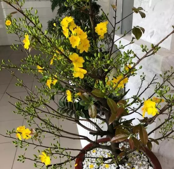 Anhkhoa Hotel Mỹ Phước