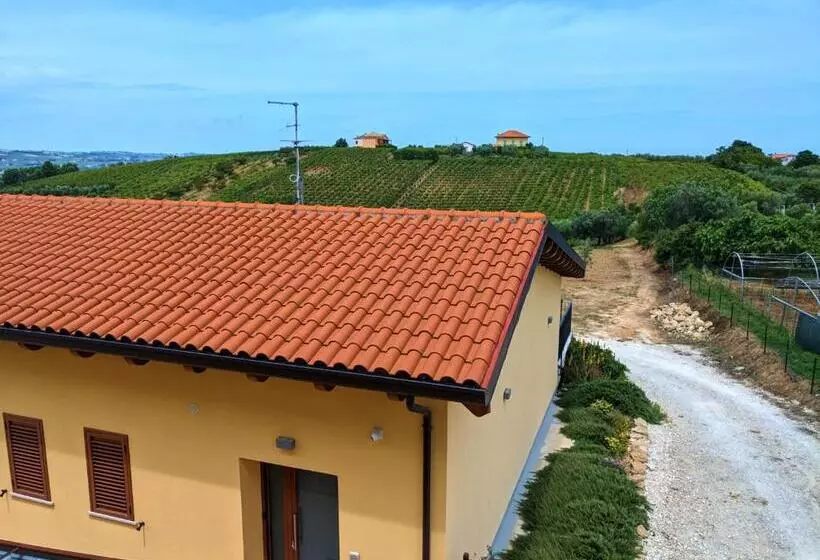 La Casa Del Vino   B&b