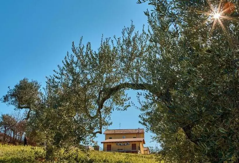 La Casa Del Vino   B&b