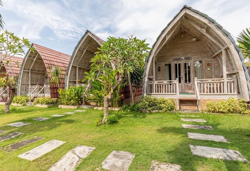 膳宿费 Daghan Cottage Nusa Penida