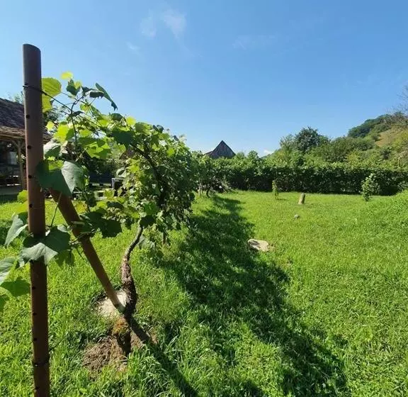 ペンション Valchid Guest House