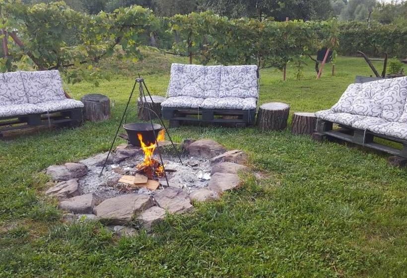 بنسيون Valchid Guest House