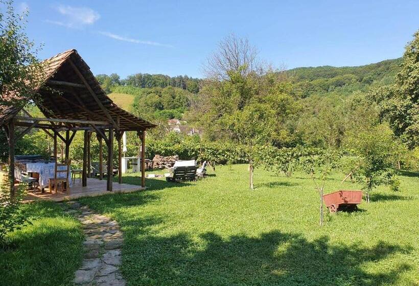 بنسيون Valchid Guest House