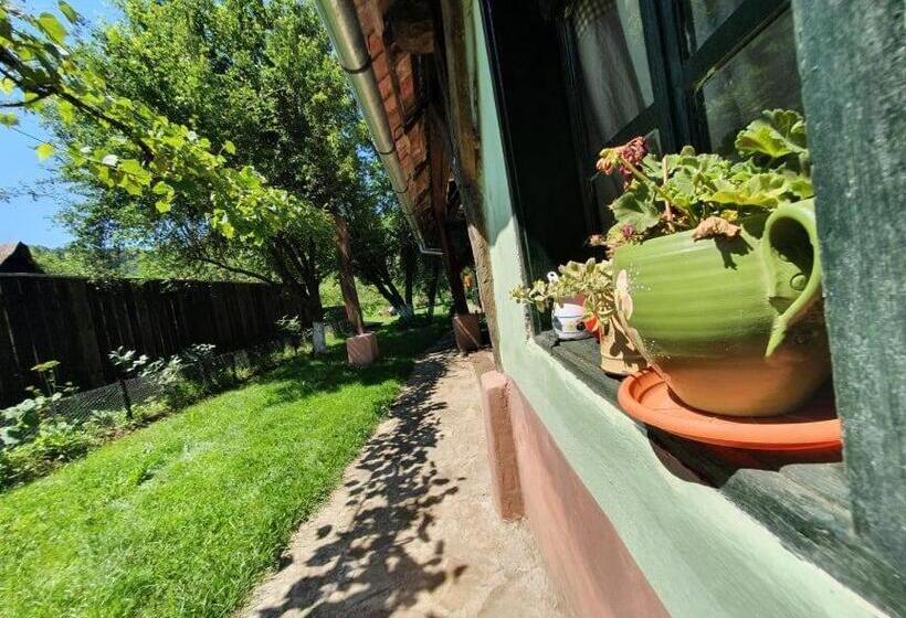 بنسيون Valchid Guest House