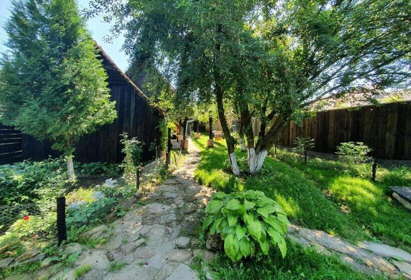 بنسيون Valchid Guest House